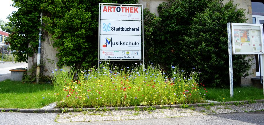 Wildblumenbeet vor der Stadtbücherei in Haßlinghausen